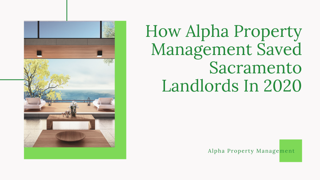 alpha property management